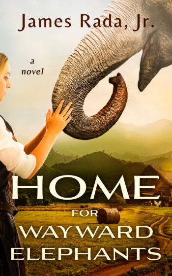 Home for Wayward Elephants